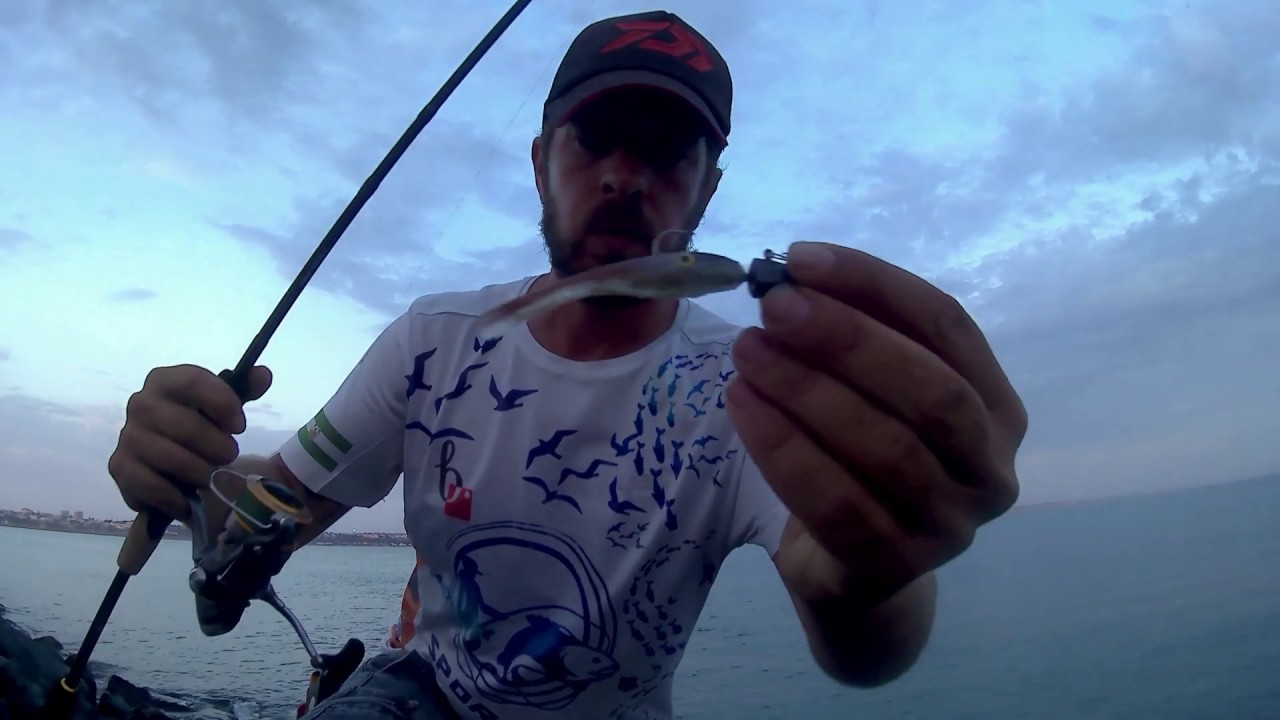 CORVINAS a SPINNING LIGERO en HUELVA