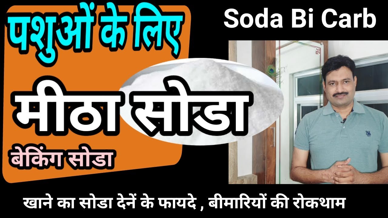 मीठा सोडा baking soda bicarbonate benefits in animals खाने का सोडा बेकिंग सोडा बाई कार्ब का उपयोग