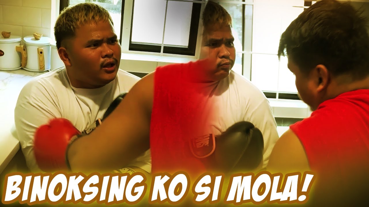 TOTOY MOLA BINENTA MOTOR KO!