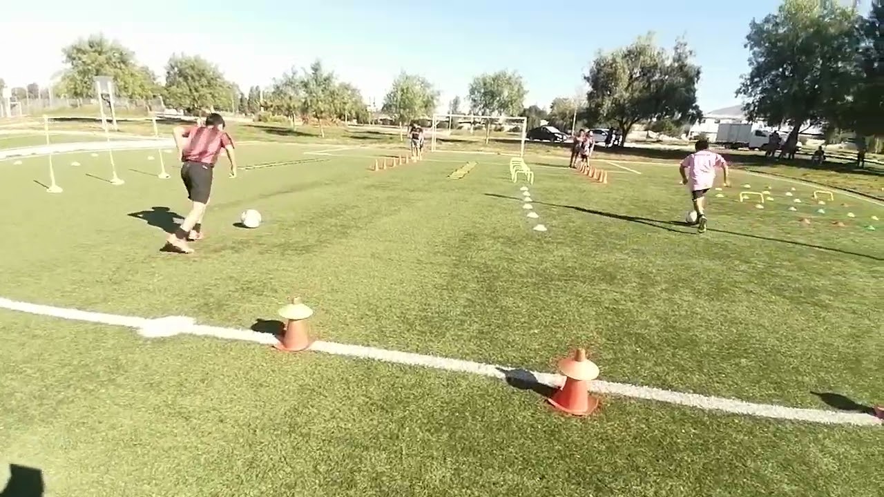 Preparador físico profesional agreditado inaf Chile Manuel Morales trabajos de alto rendimiento