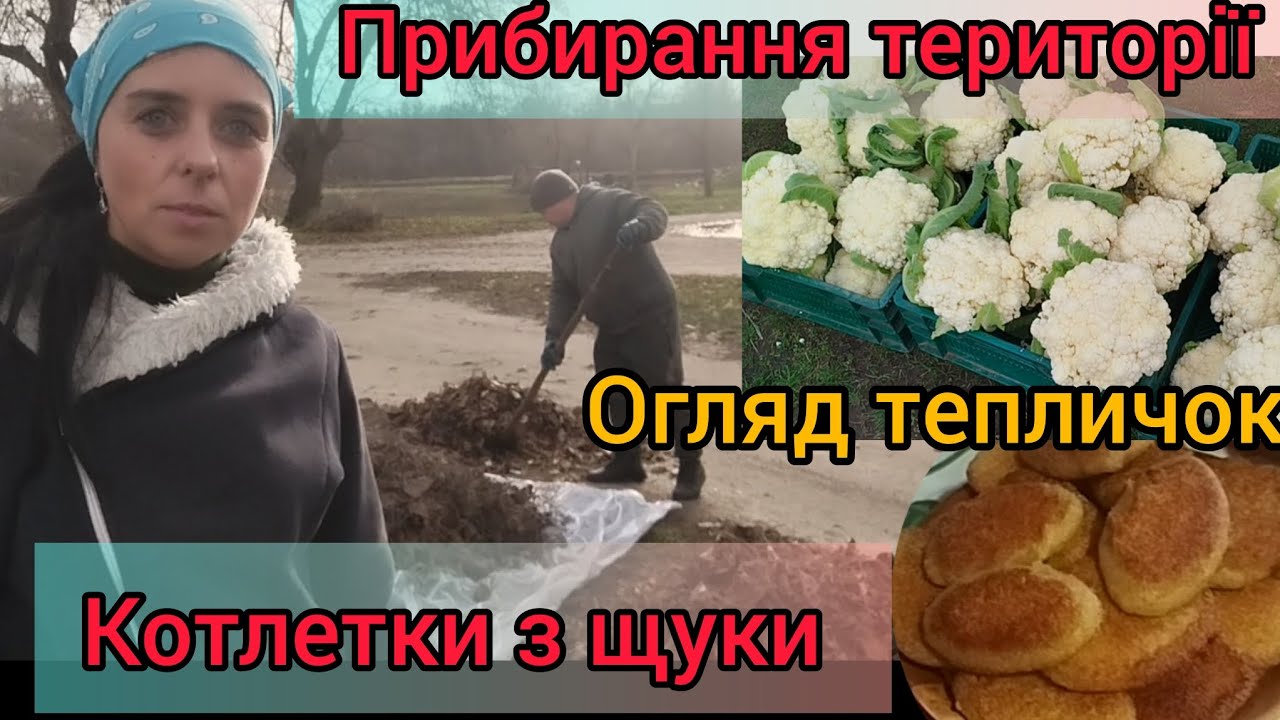 Прибирання території 🏡 Огляд тепличок 🥬 Котлетки з щуки 🍴