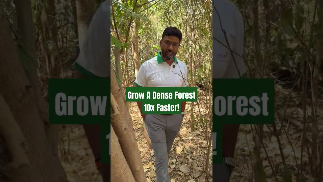 5x Forest Growth With This ONE Simple Trick - Miyawaki Method
