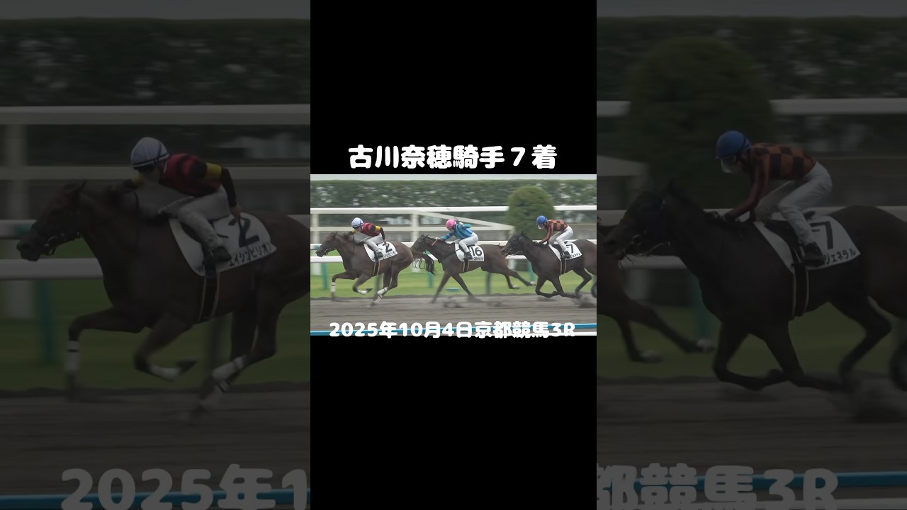 2025年10月4日京都競馬3R3歳パープルウインド&古川奈穂騎手７着#shorts #horse #競馬
