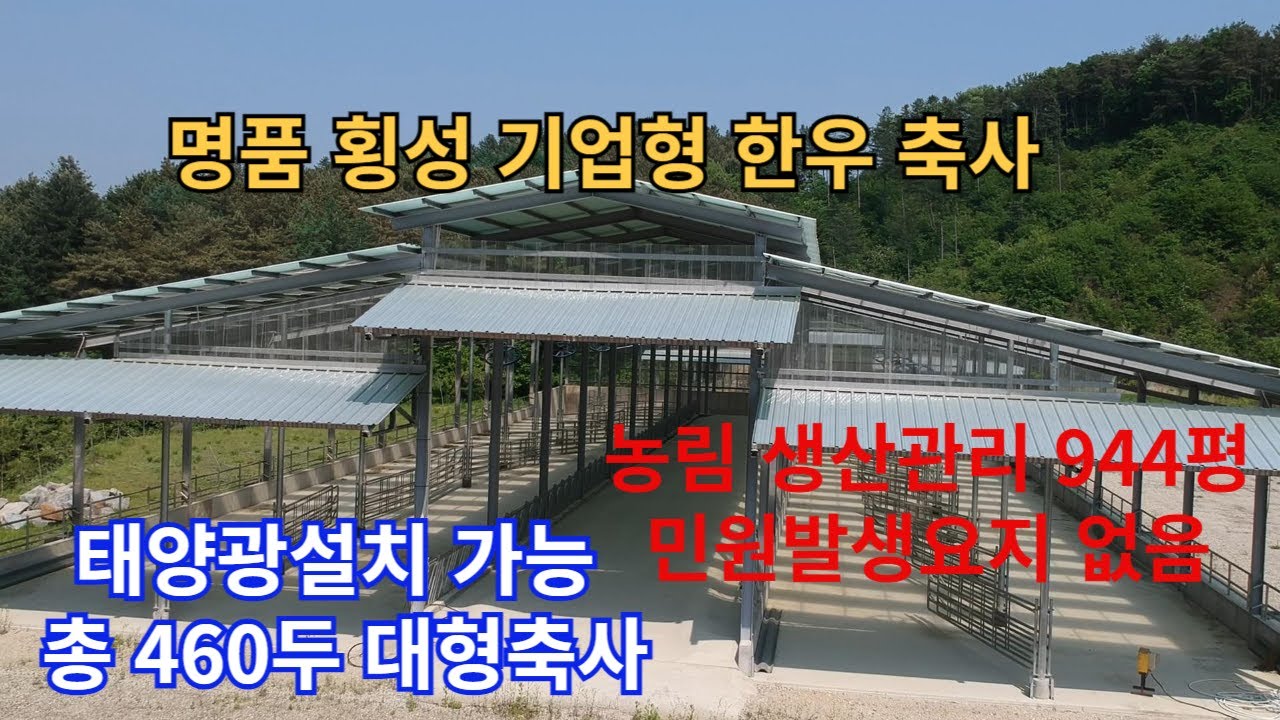허가힘든 초대형 축사 태양광설치 가능  명품횡성한우목장 #횡성축사매매 #횡성한우축사매매 #한우목장 [매번12-2092]
