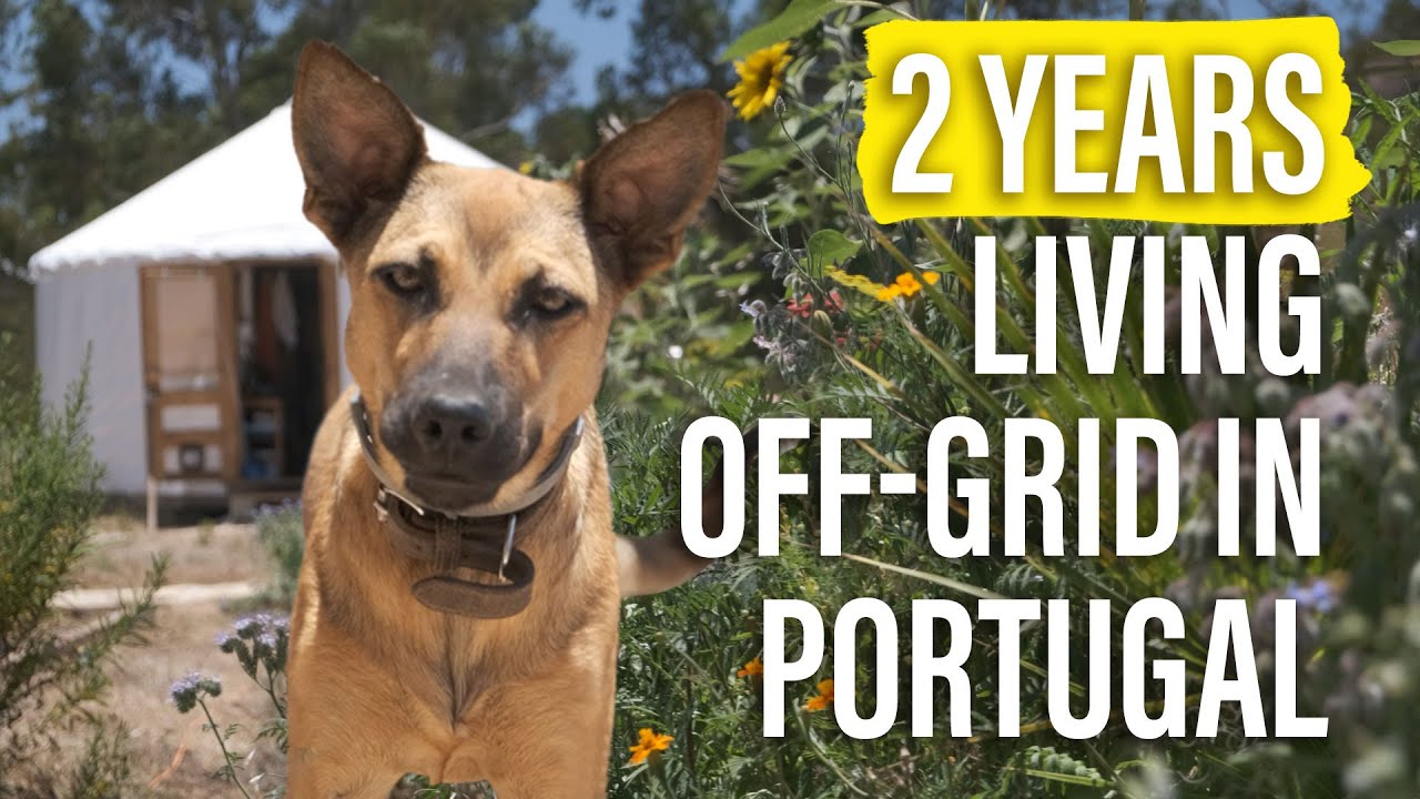 2yr’s Off Grid Update - Lessons Learned Living Off-Grid in Portugal - Life Reimagined