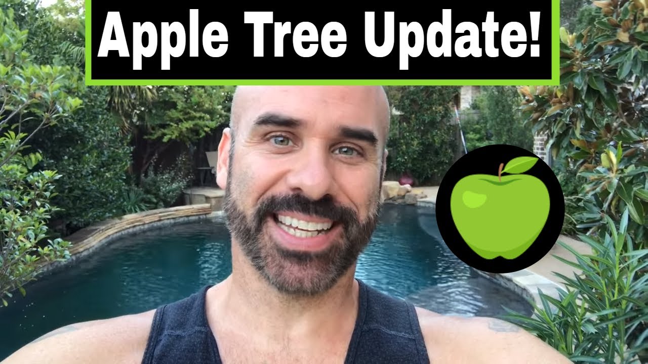 How to Grow Apple Trees From Seed, Now 32 Months Old!