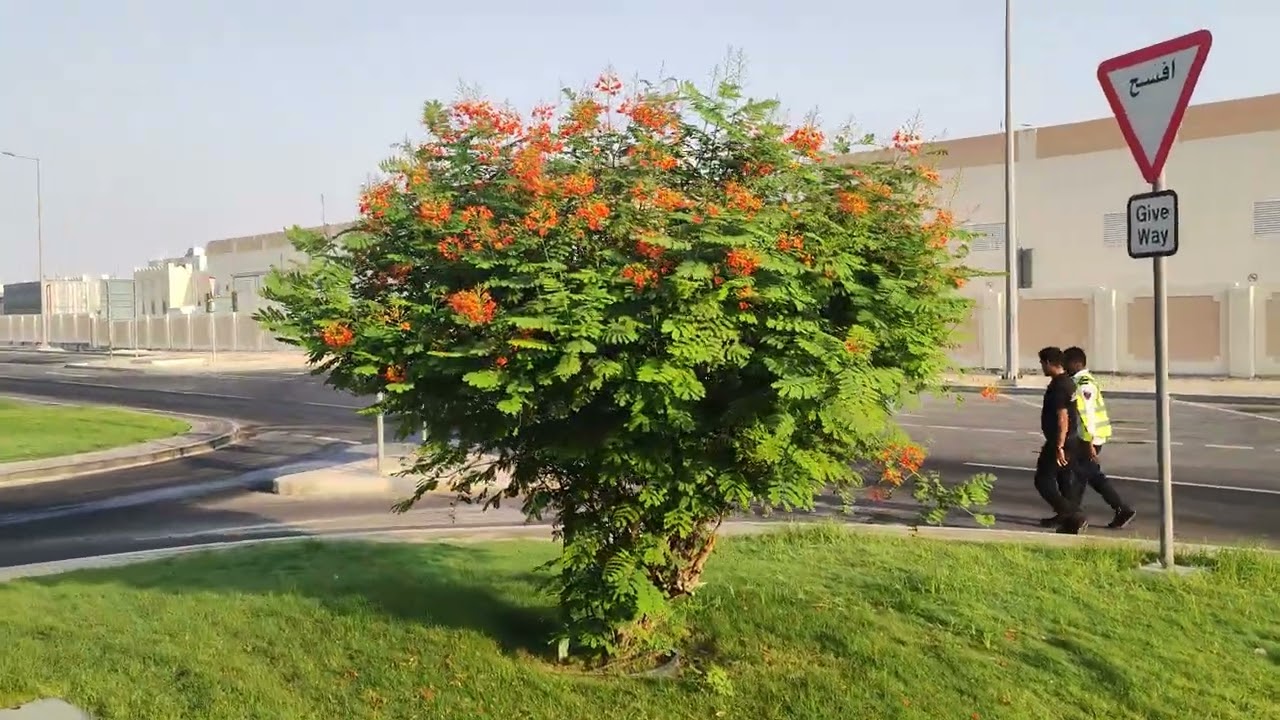 morning  walk  भाग (१०)
