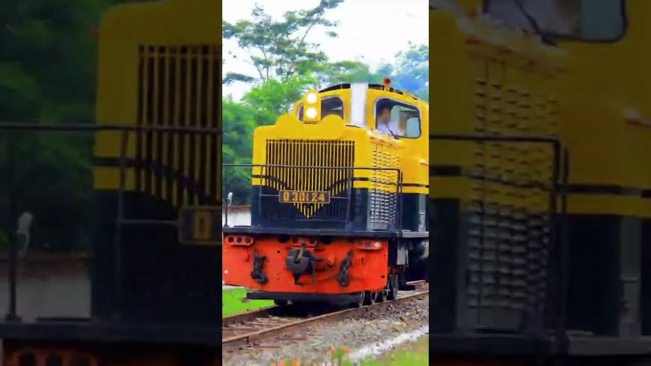 evolution d301 24