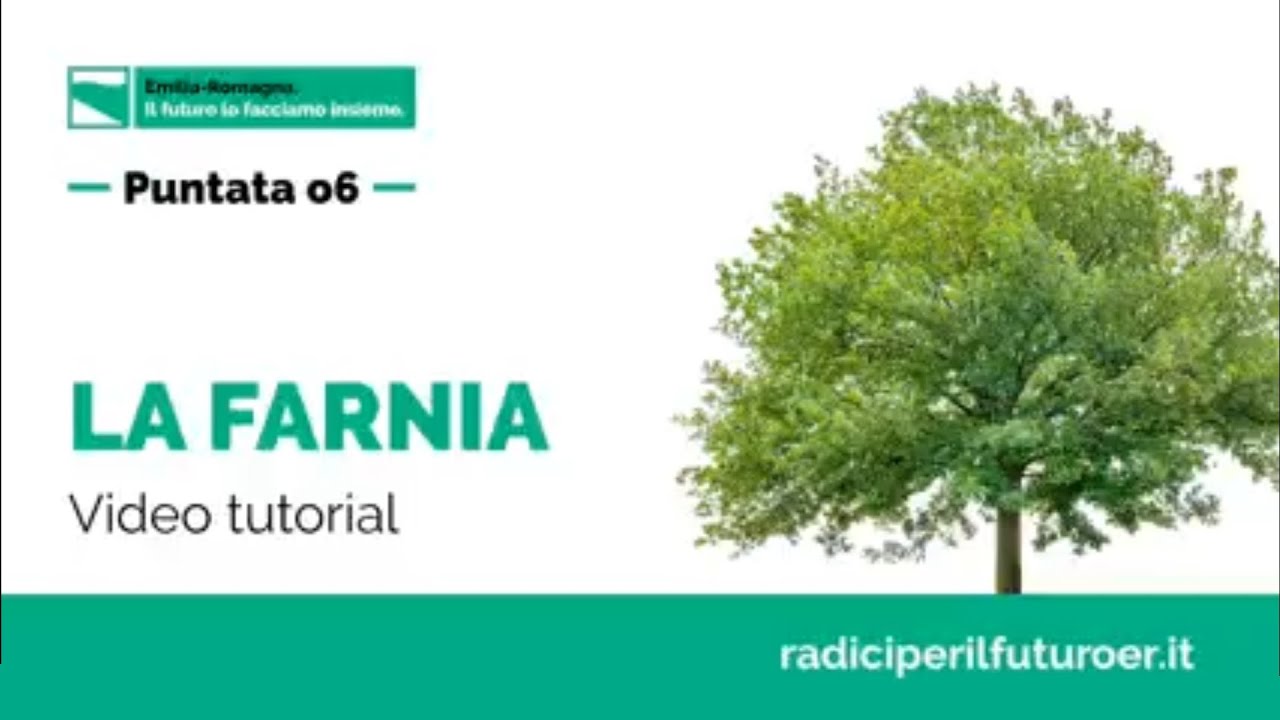 La farnia | Tutorial piantumazione e cura | Mettiamo radici per il futuro