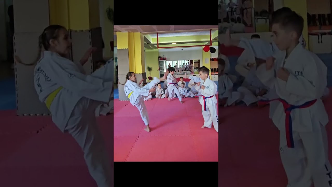 flamurtari taekwondo