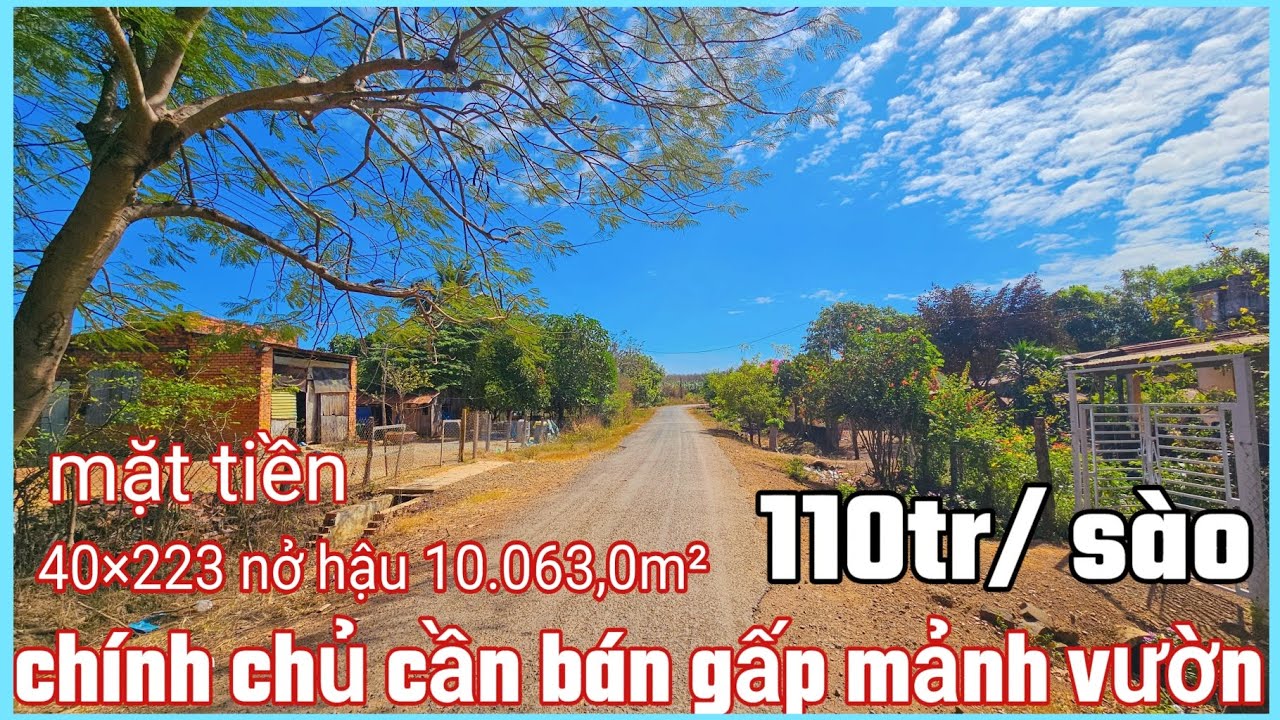 Chính chủ cần bán gấp mảnh vườn 50×223 nở hậu 10.063,0m² cln giá 110tr / sào có thương lượng 