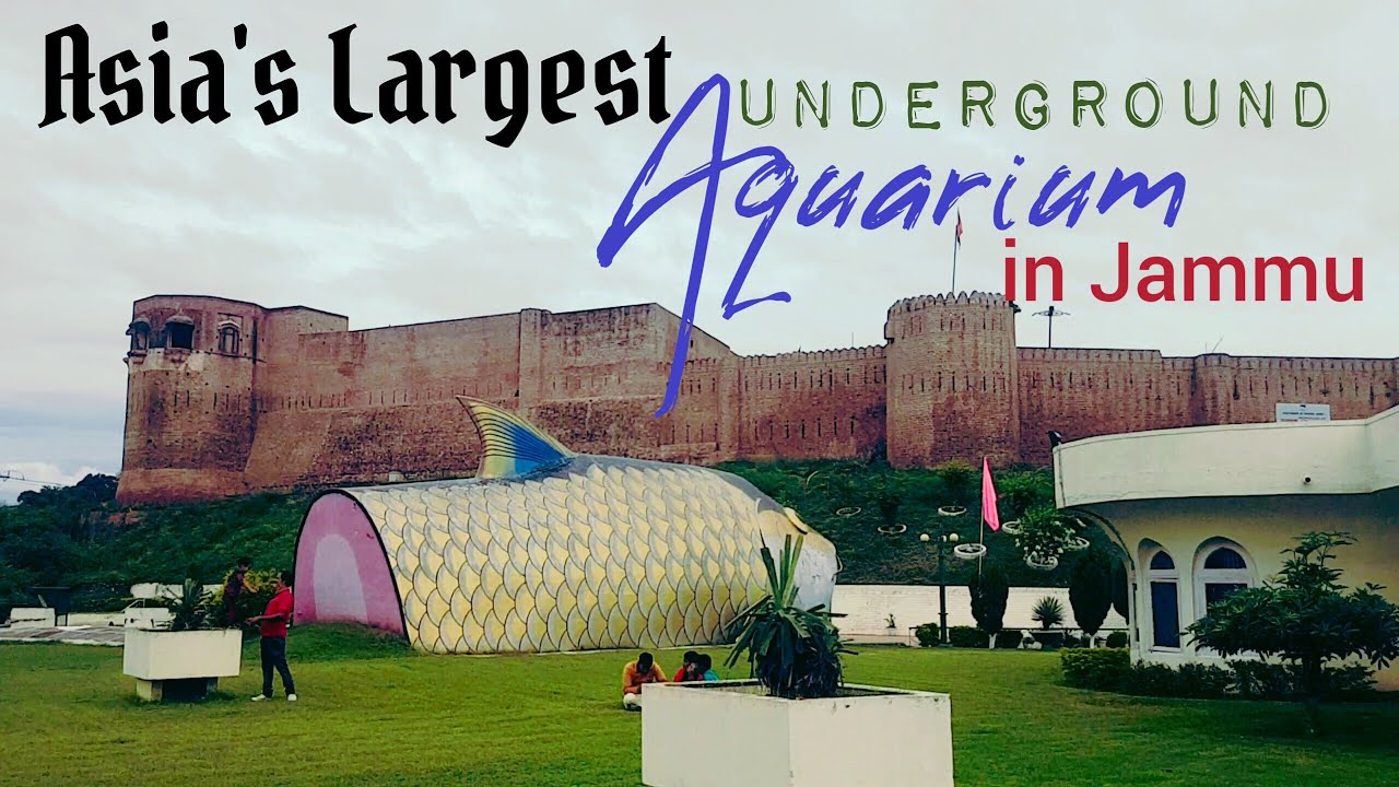 Jammu Fish Aquarium || Bagh e Bahu Fish Aquarium || Asia's  largest underground Aquarium ||