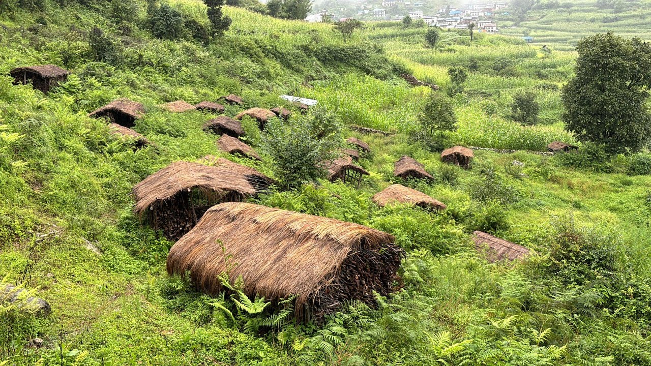 Struggles & Beauty of Nepali Mountain Village Life During Monsoon | Real Himalayan Rural Living