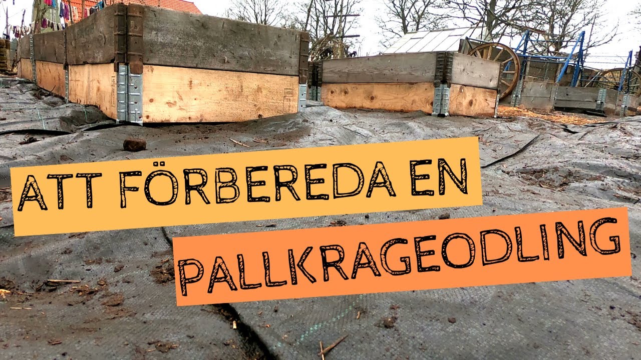Att förbereda en PALLKRAGEODLING - Använda markduk och fylla pallkragar inför säsongen. TIPS!