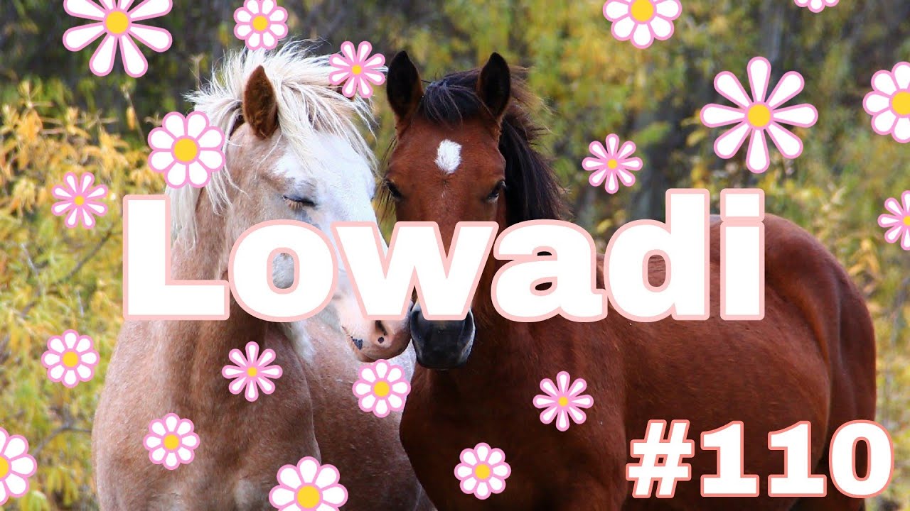 Ловади # 110 ~ Много дел / много разговоров 🌸