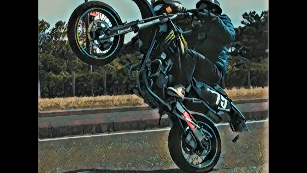 Wheelie  collection