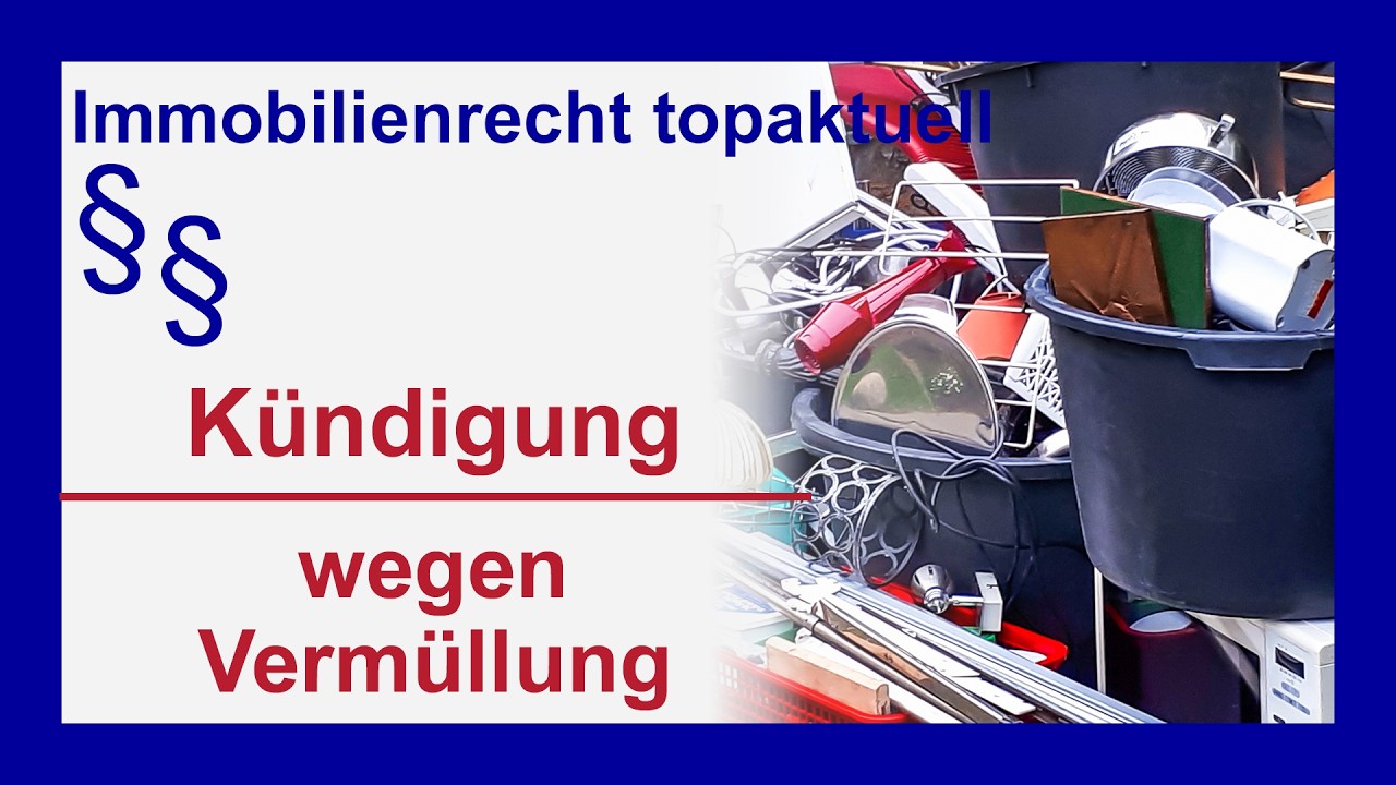 Messi-Wohnung? Wann Vermüllung die fristlose Kündigung rechtfertigt | Tutorial