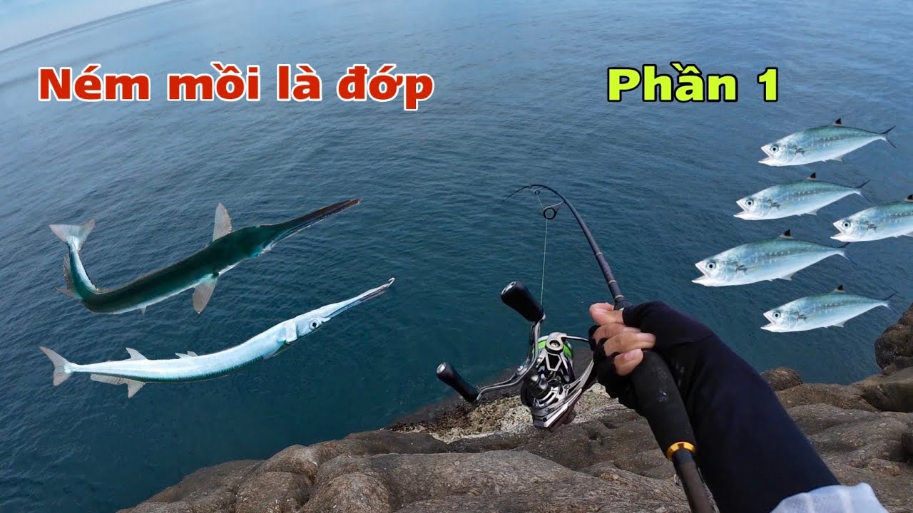 câu cá Nhái bằng mồi sống cực kỳ hiệu quả - phần 1