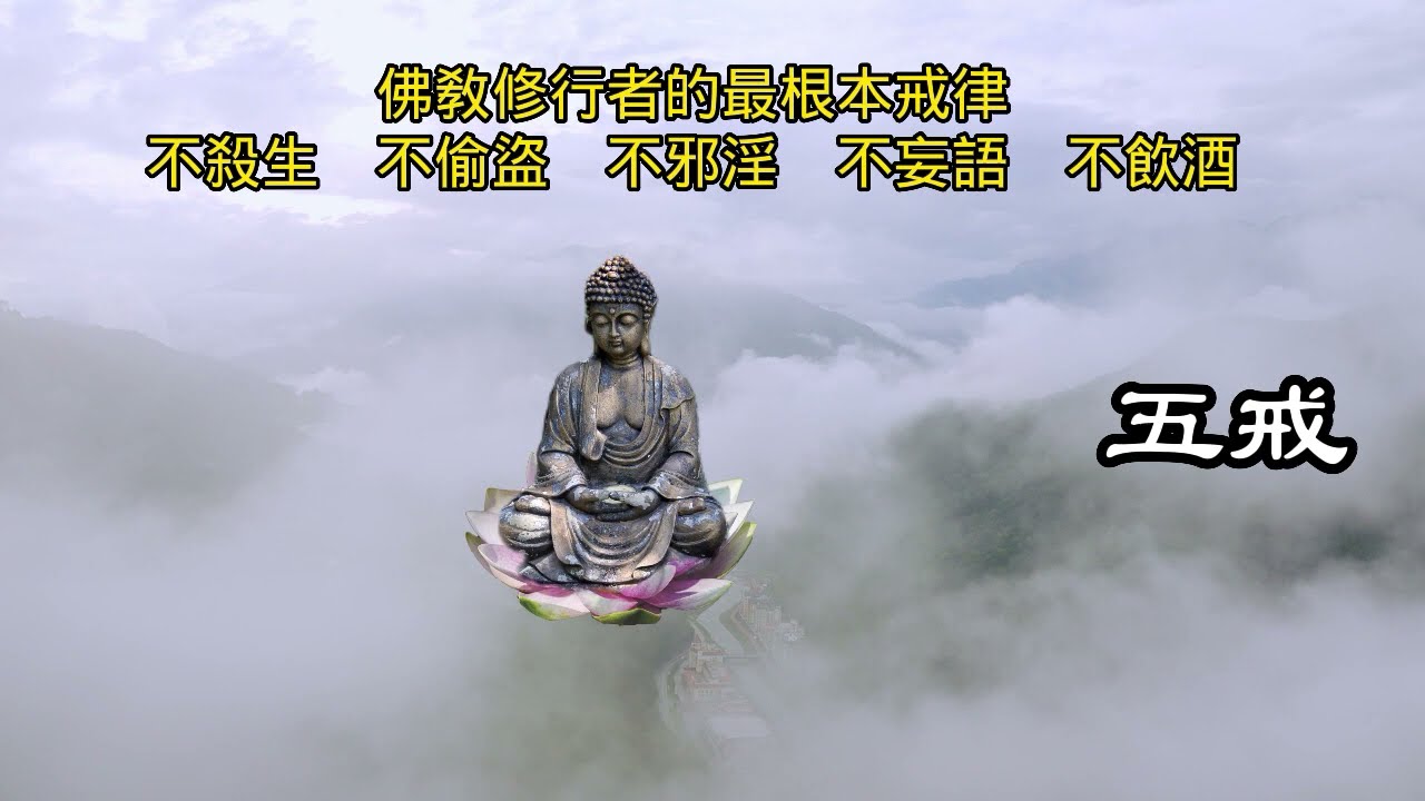 五戒　佛教術語———佛教修行者的最根本戒律　不殺生　不偷盜　不邪淫　不妄語　不飲酒