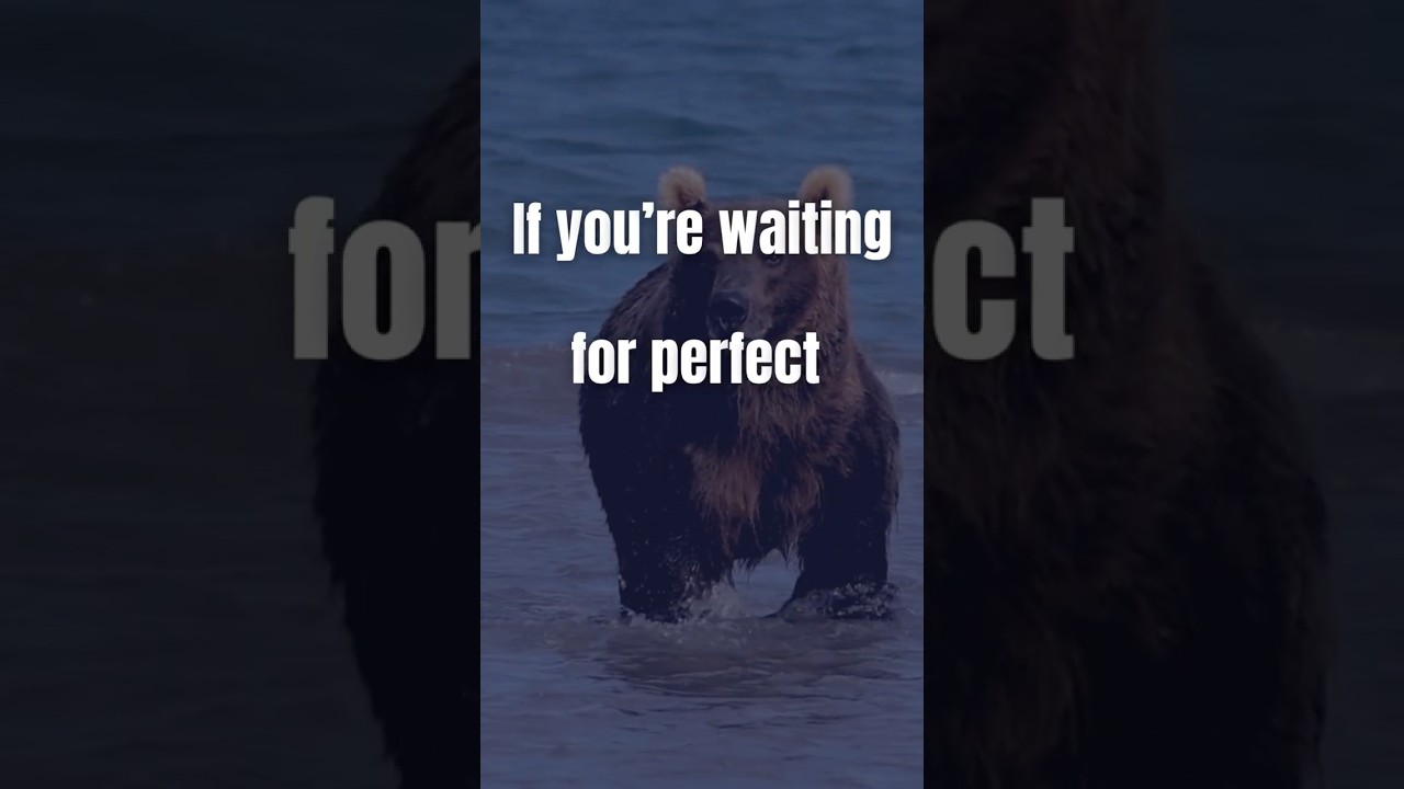 Sprint When It Counts 🐻⏱️ #BearCharge #WinWindow