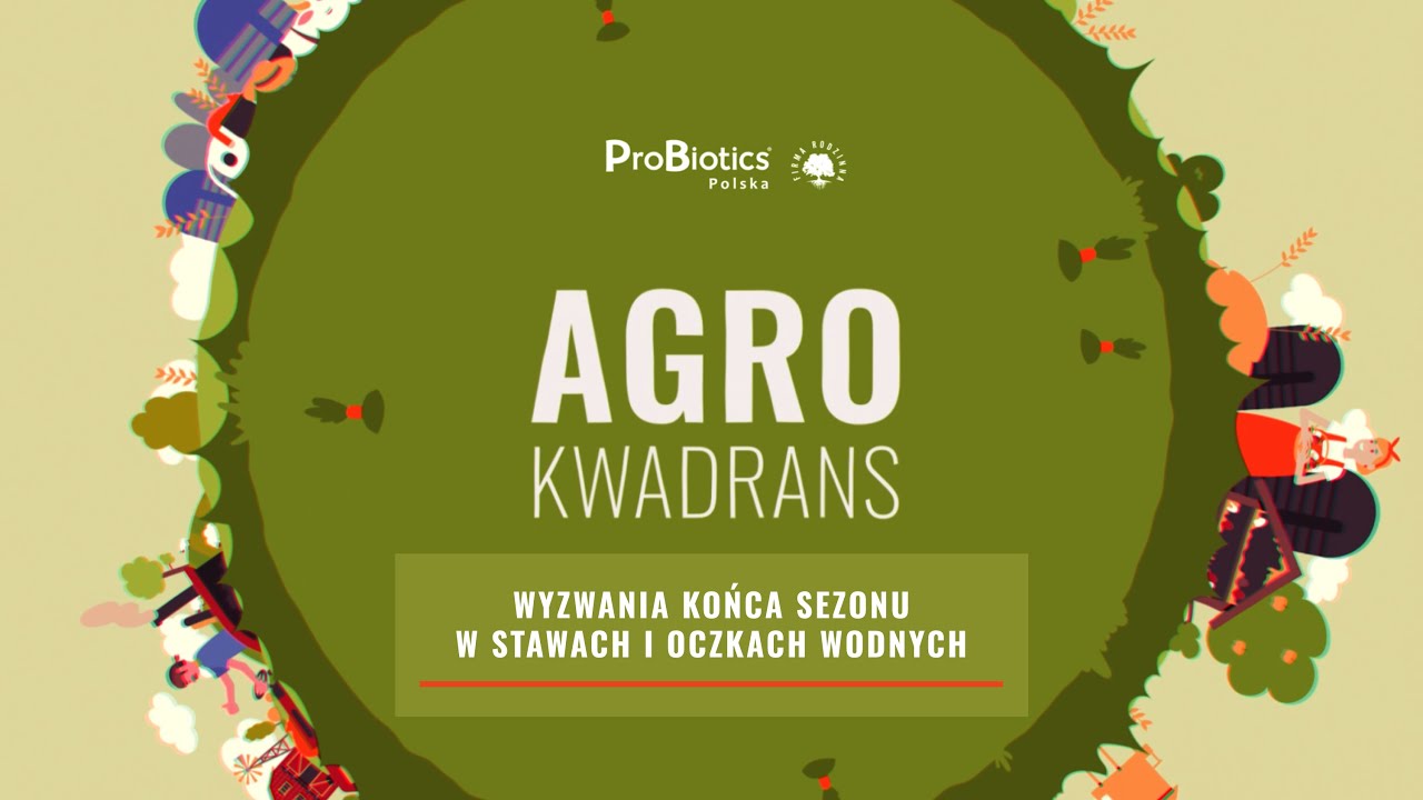 Wyzwania końca sezonu w stawach i oczkach wodnych