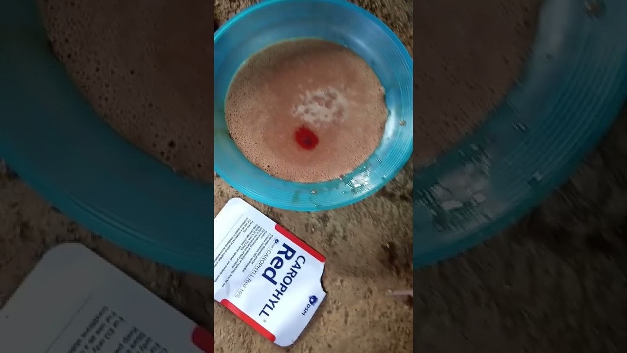 tutorial membuat burger discus hati ayam