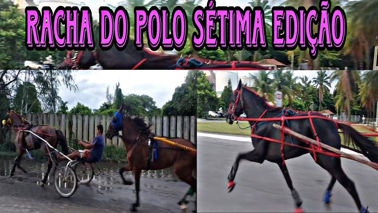 RACHA DO POLO EDIÇÃO NÚMERO 7