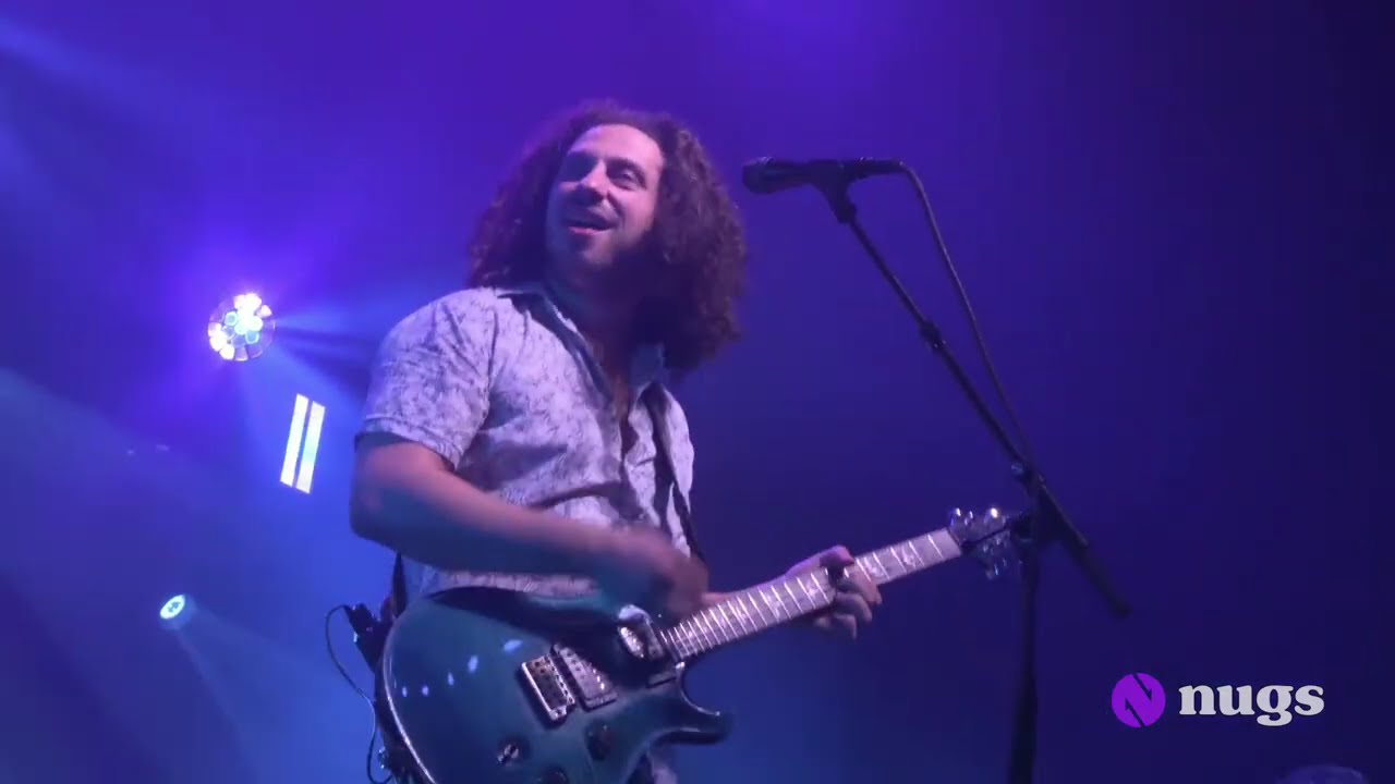 Pigeons Playing Ping Pong 3/7/26 St. Petersburg, FL