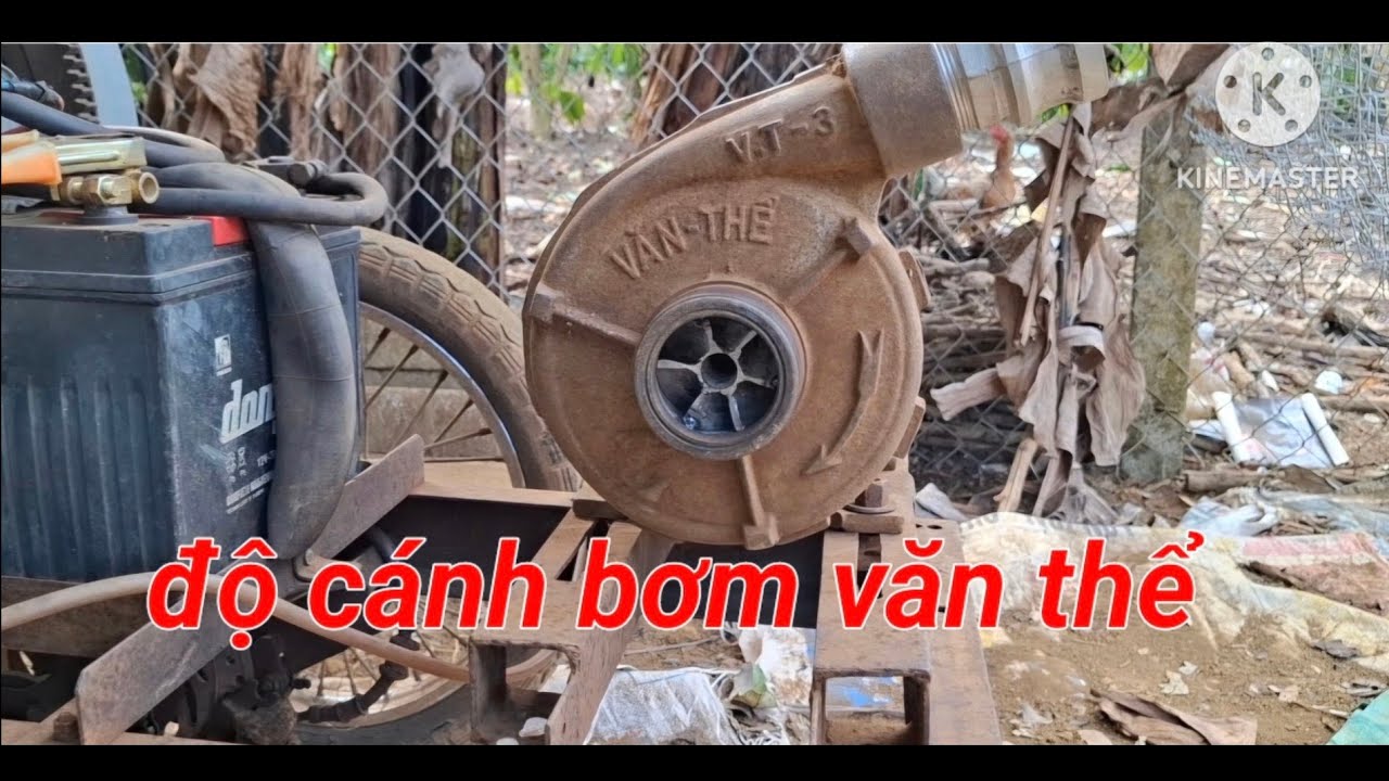 Độ cánh bơm văn thể