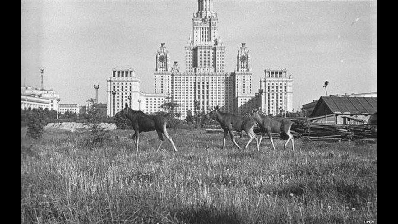 ГЕБА. 