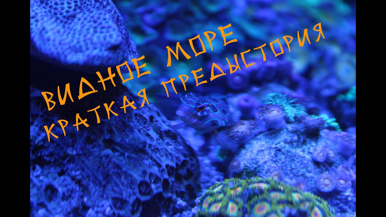 Мой морской аквариум Dennerle nano cube на 60 литров