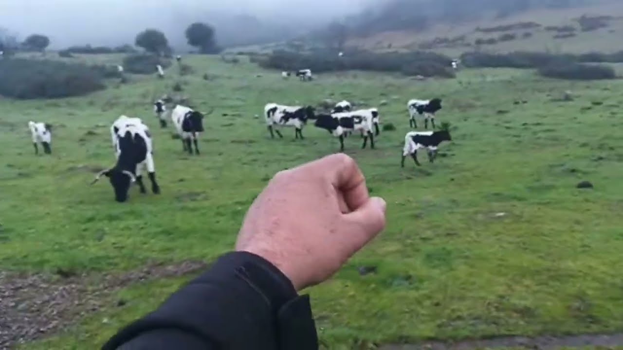 domingo día del señor