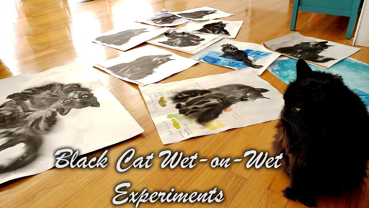 Wet in Wet Black Cat Fur Out Watercolor and Sumi Ink Experiments