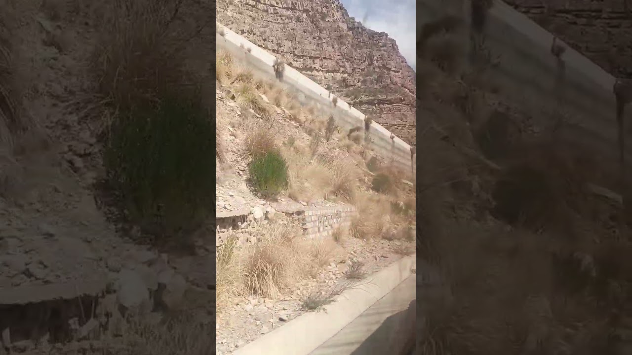 FORTMINO PULL BUS DRIV PAKISTAN