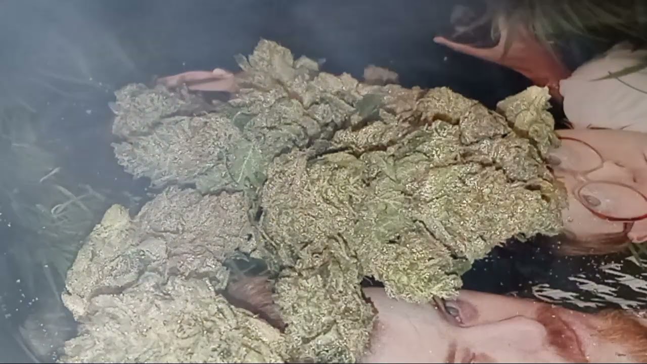 reviewing modern sour og chem ⛽