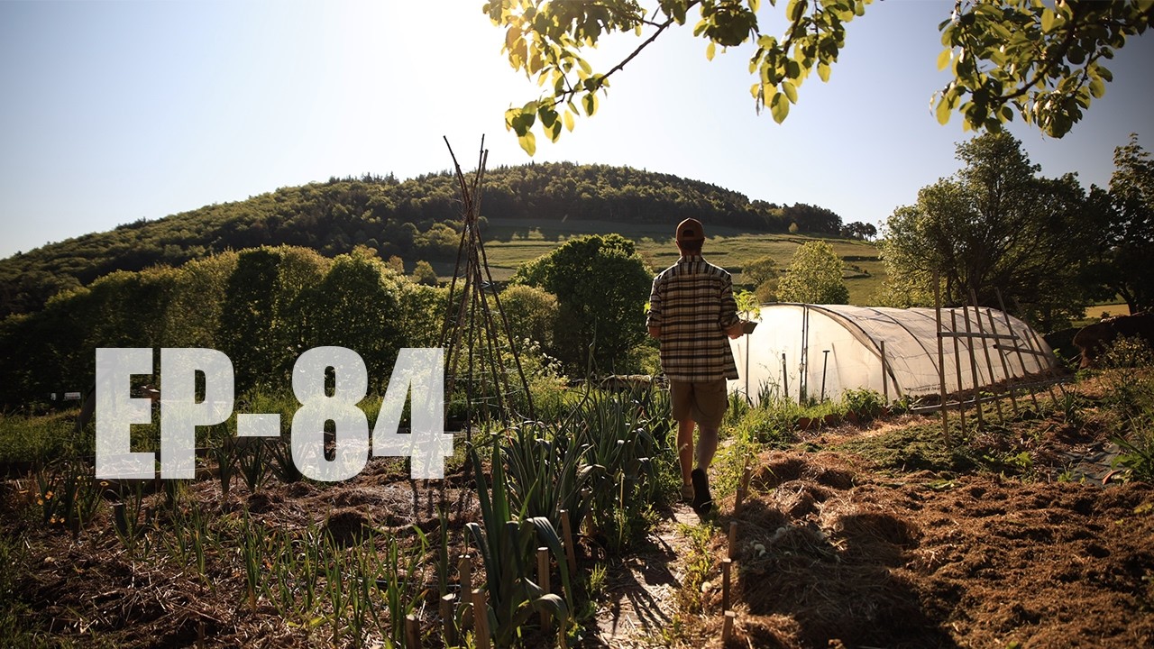 NOS ABEILLES SONT LÀ ! EP-84