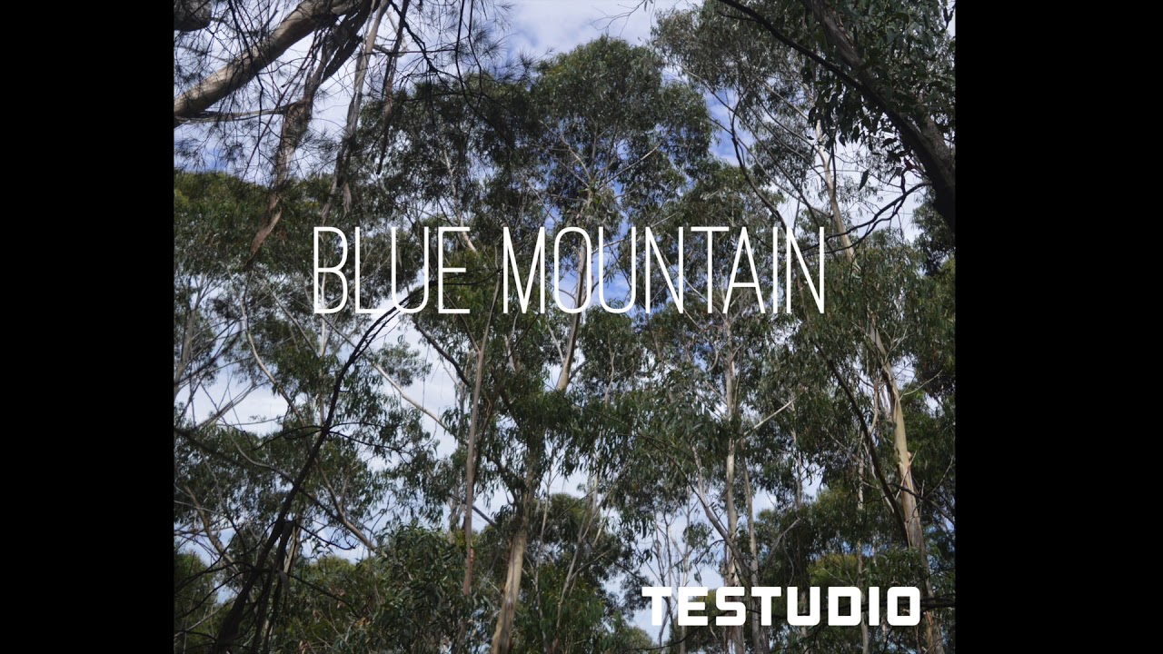 Testudio -  Blue Mountain