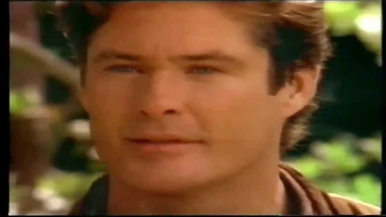 David Hasselhoff  -  