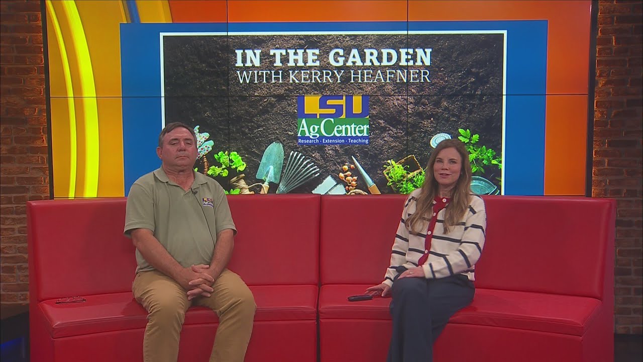 Louisiana Living: In The Garden
