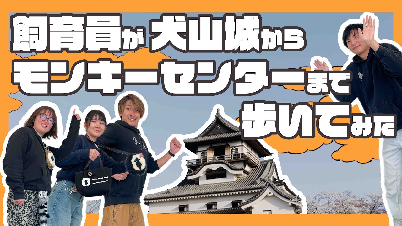 飼育員が犬山城からモンキーセンターまで歩いてみた