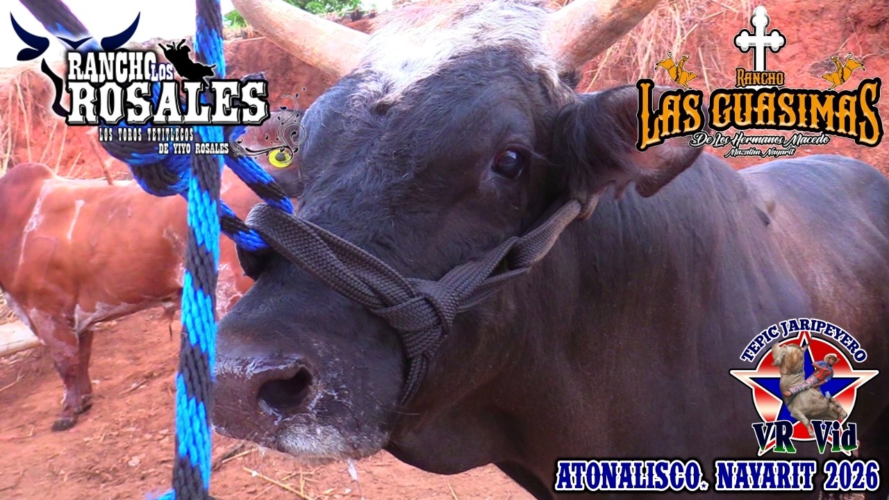 ¡¡¡LE FALTÓ JINETE AL INFIERNITO!!! RANCHO LOS ROSALES y RANCHO LAS GUASIMAS en ATONALISCO 2026