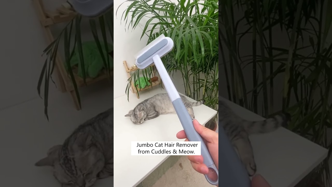 How I Keep My House Hair Free! 🐈