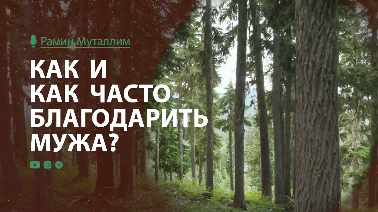 Как и как часто благодарить мужа? | Рамин Муталлим