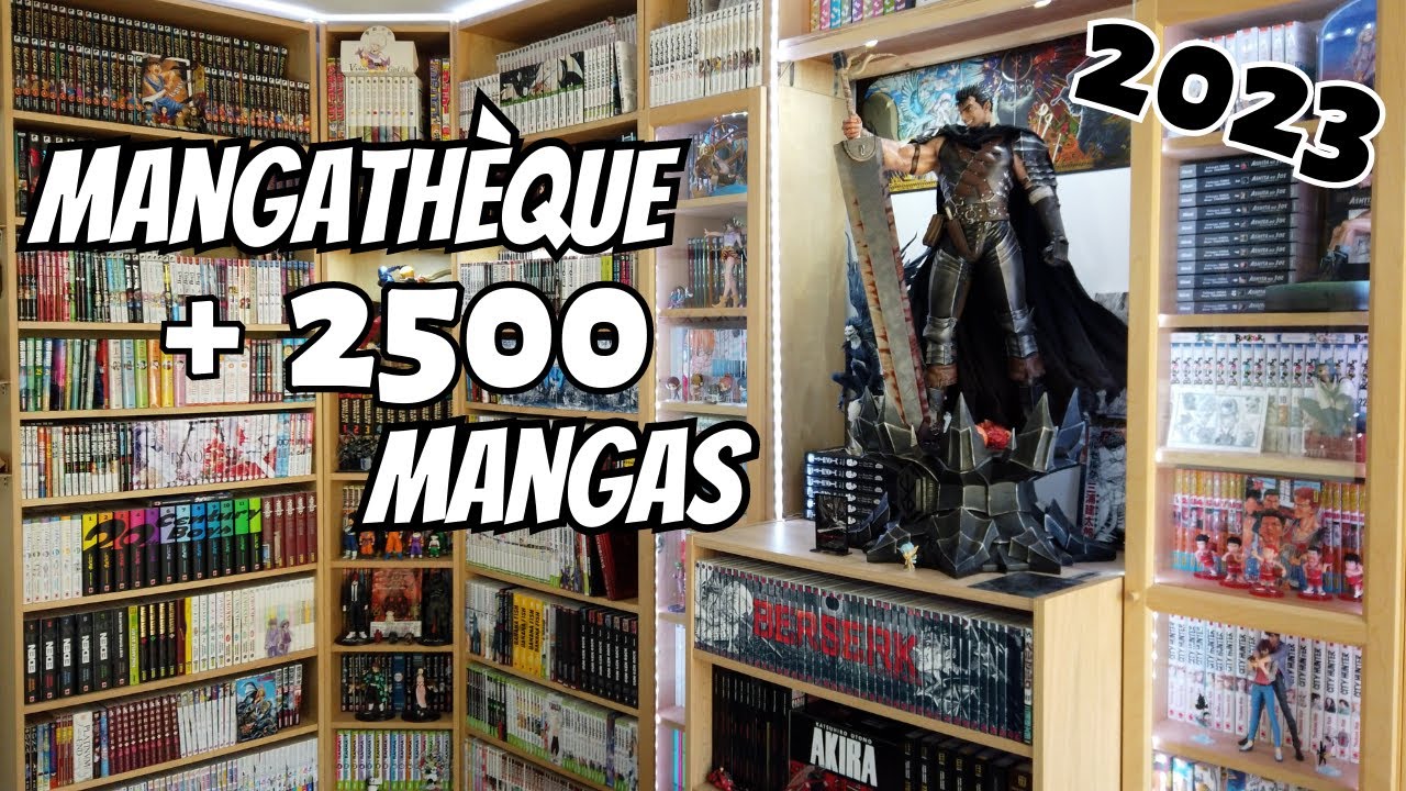 Mangathèque 2023 ! Version courte (Manga/ figurine/ Collection / Résine / Rangement  ...)