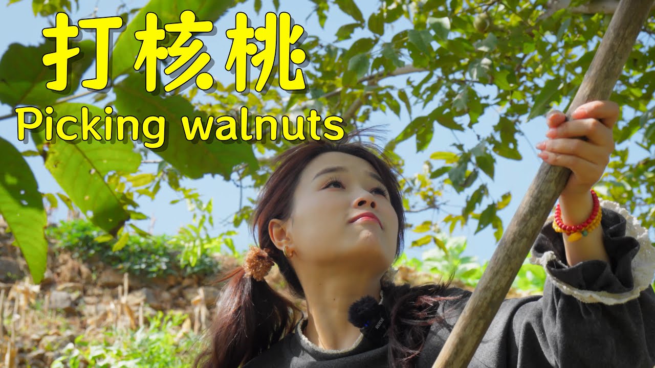 Walnut Brown Sugar Steamed Buns | 用现摘的核桃做个健康营养的核桃红糖馒头！【叫我阿霞Channel】
