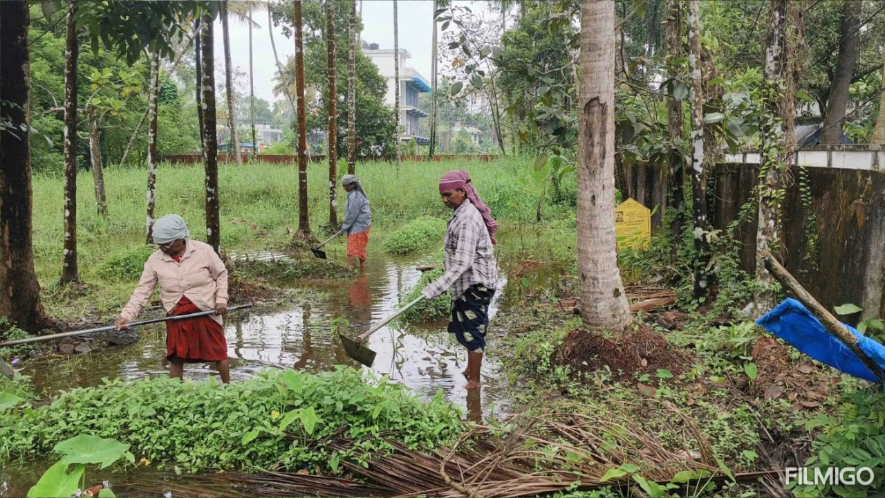 2 ലെ ദീപം കുടുംബശ്രീ യൂണിറ്റുകൾക് കൃഷിക്ക് നിലം ഒരുക്കൽ