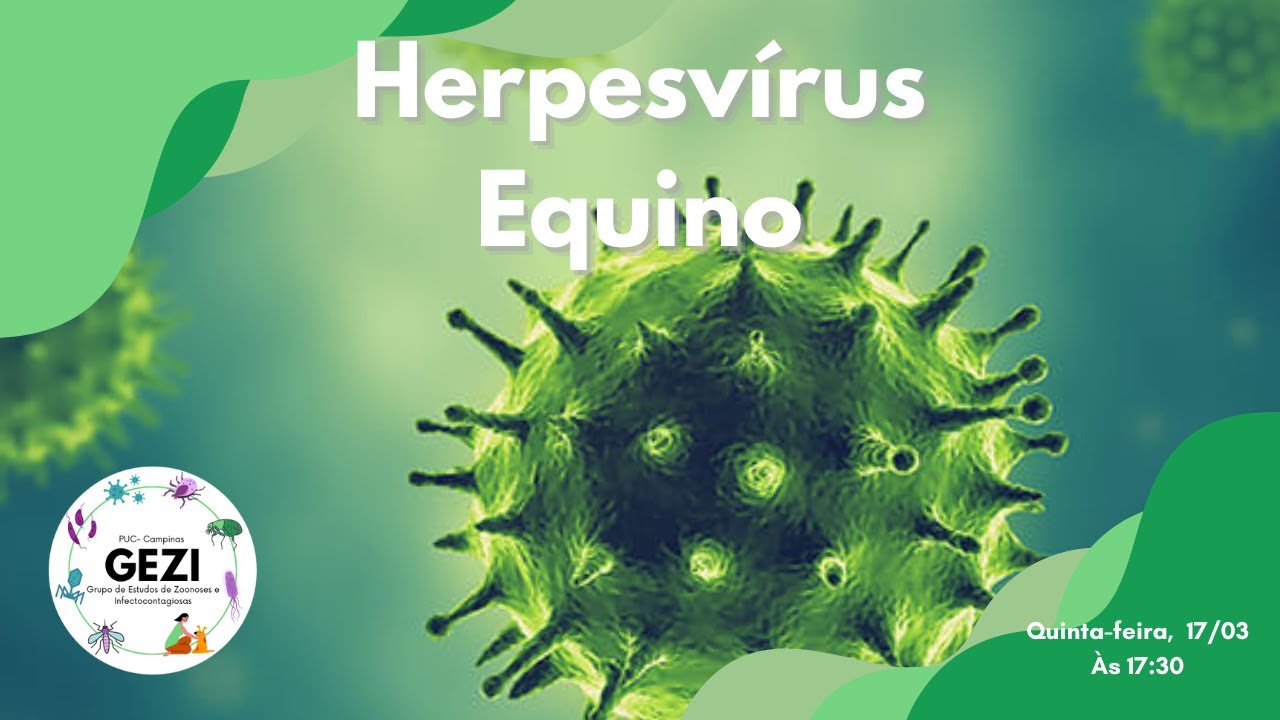 Herpesv&iacute;rus  Equino