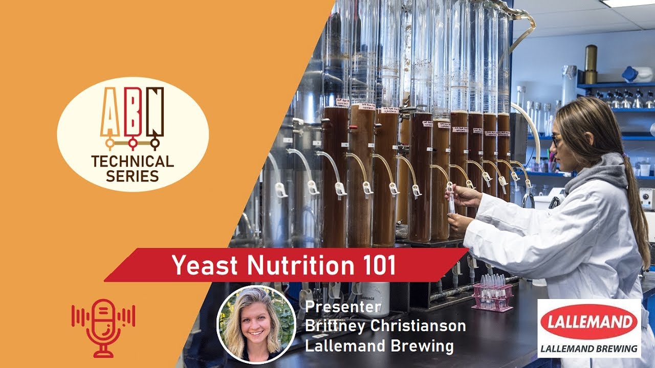 Yeast Nutrients 101
