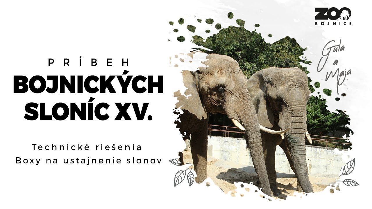 Príbeh bojnických sloníc XV. - Technické riešenia -  Boxy na ustajnenie slonov