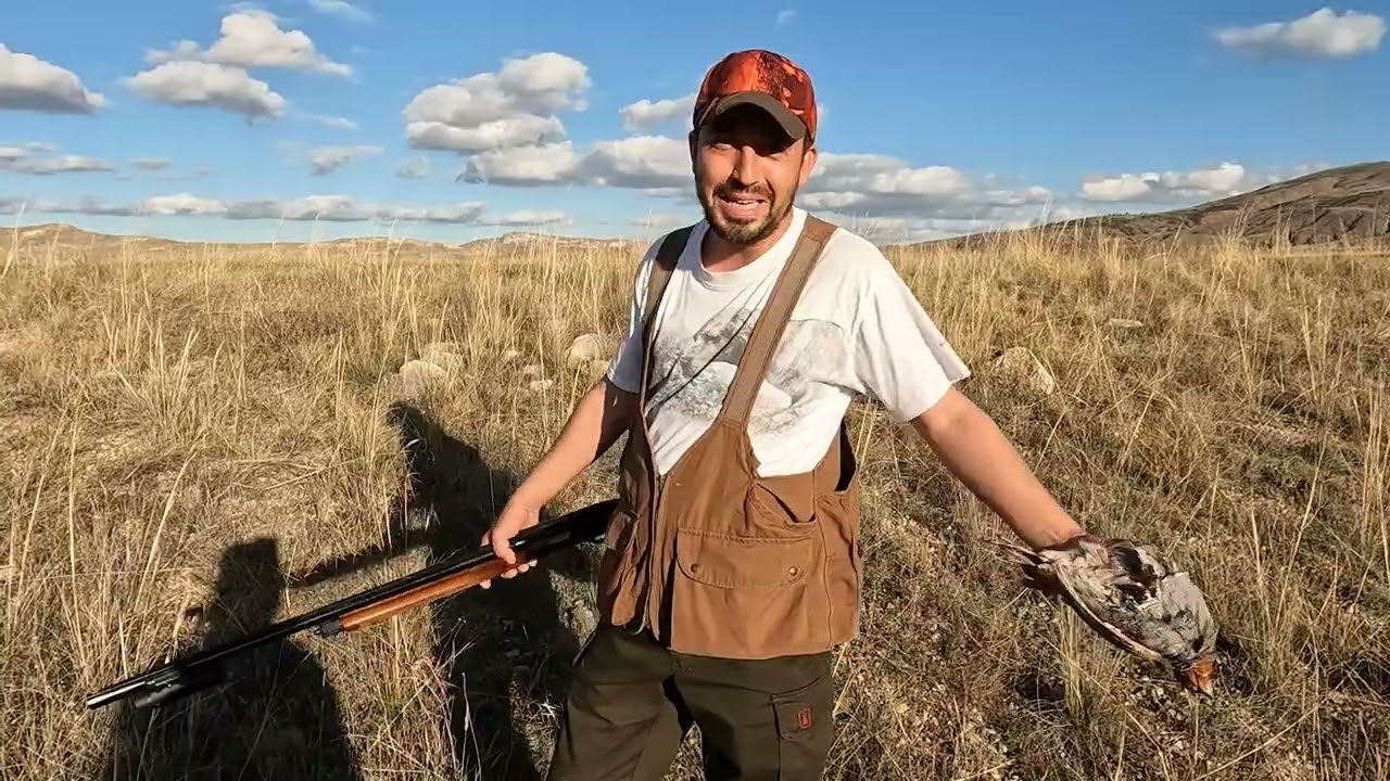 Partridge Hunter / Anadolu Keklik Avı